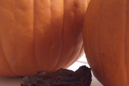 http://www.1momagainstmoney.com/2012/10/17/pumpkin-brownies/