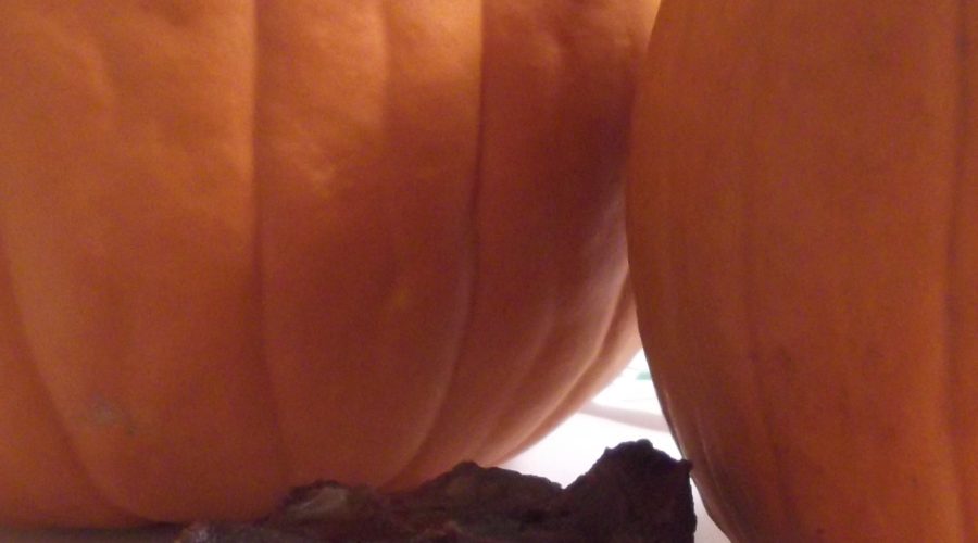 http://www.1momagainstmoney.com/2012/10/17/pumpkin-brownies/