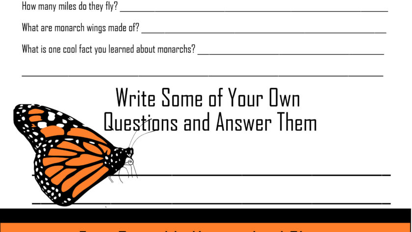 learn about monarchs worksheet
