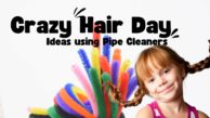 Crazy Hair day ideas using Pipe Cleaners