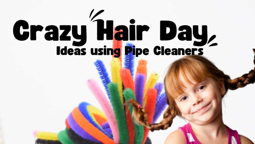Crazy Hair day ideas using Pipe Cleaners